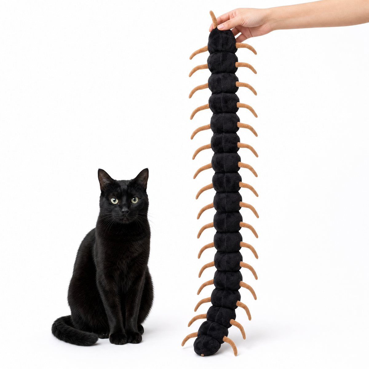 Centipede costume laid flat on wood floor